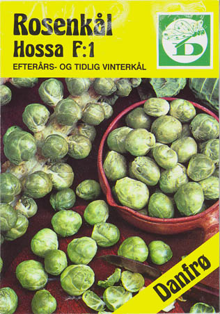 Rosenk�l, Hossa F1, Brassica oleracea </i>L. var. <i>gemmifera