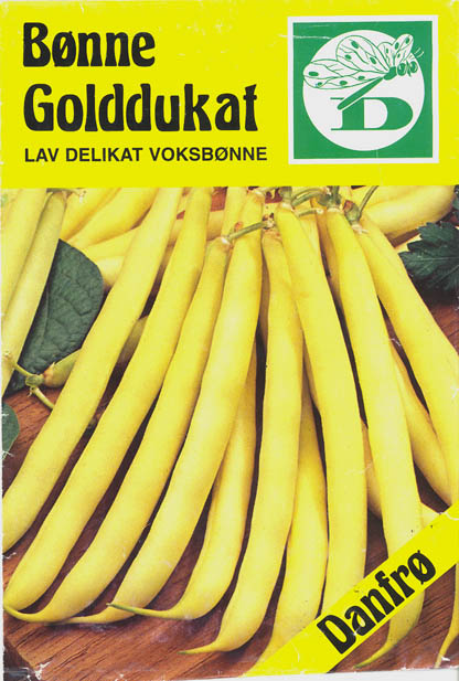 Haveb�nne, Golddukat, Phaseolus vulgaris </i>L.<i>