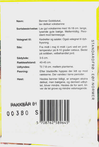 Haveb�nne, Golddukat, Phaseolus vulgaris </i>L.<i>