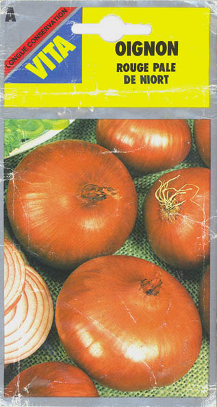 Kepal�g, Rouge Pale de Niort, Allium cepa </i>L.<i>