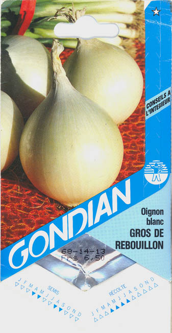 Kepal�g, Gros de Rebouillon, Allium cepa </i>L.<i>