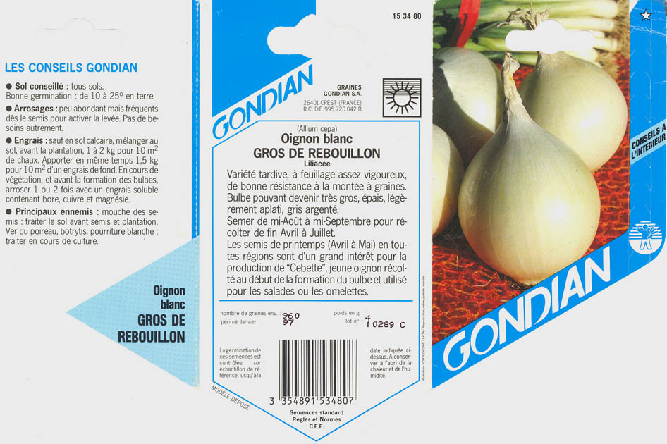 Kepal�g, Gros de Rebouillon, Allium cepa </i>L.<i>