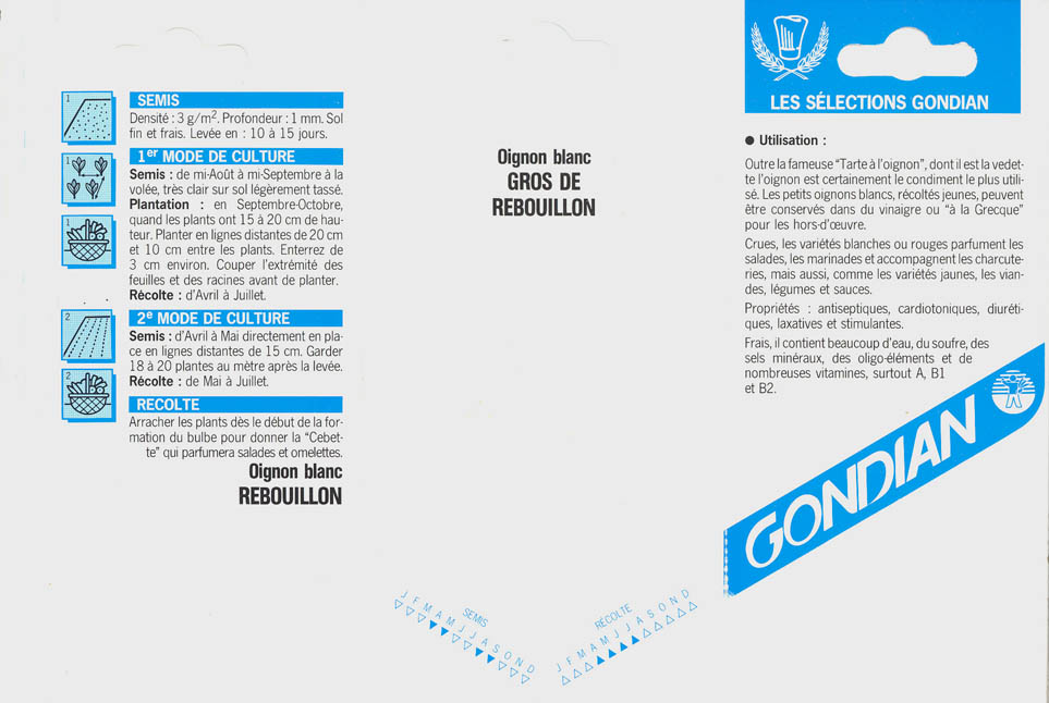 Kepal�g, Gros de Rebouillon, Allium cepa </i>L.<i>