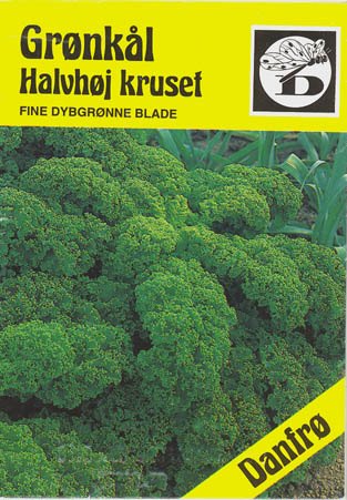 Gr�nk�l, Halvh�j kruset, Brassica oleracea </i>L. var. <i>sabellica