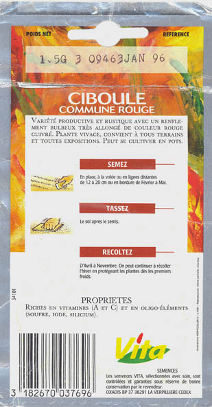 Pibel�g, Ciboule, Allium fistulosum </i>L<i>