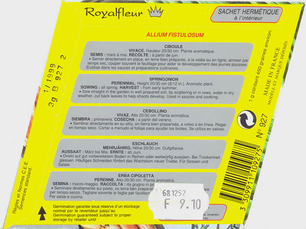 Pibel�g, Ciboule, Allium fistulosum </i>L<i>