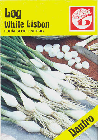 Pibel�g, White Lisbon, Allium fistulosum </i>L<i>