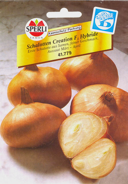 Kepal�g, Creation F1, Allium cepa </i>L.<i>