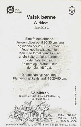 Hesteb�nne, Witkiem, Vicia faba </i>L.<i>