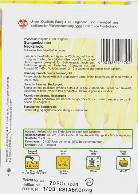 Haveb�nne, Neckargold, Phaseolus vulgaris </i>L.<i>