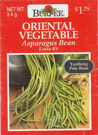 Meterb�nne, Liana RS, Vigna unguiculata </i>L. subsp.<i> sesquipedalis