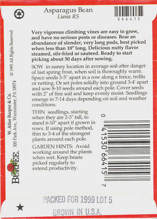 Meterb�nne, Liana RS, Vigna unguiculata </i>L. subsp.<i> sesquipedalis