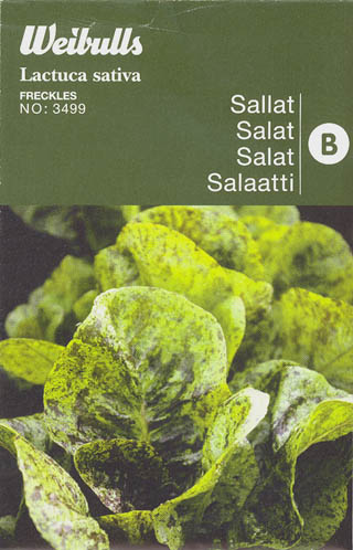 Havesalat, bindsalat, Freckles, Lactuca sativa </i>L. var. <i>longifolia.