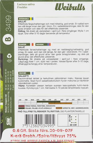 Havesalat, bindsalat, Freckles, Lactuca sativa </i>L. var. <i>longifolia.