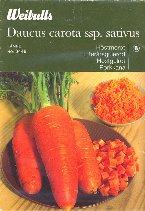 Gulerod, K�mpe, Daucus carota </i>L. subsp.<i> sativus