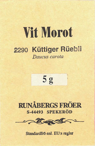 Gulerod, K�ttiger R�ebli, Daucus carota </i>L. subsp.<i> sativus