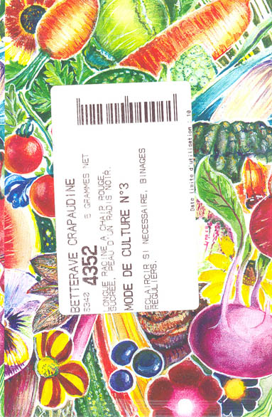 R�dbede, Crapaudine, Beta vulgaris </i>L. var.<i> vulgaris