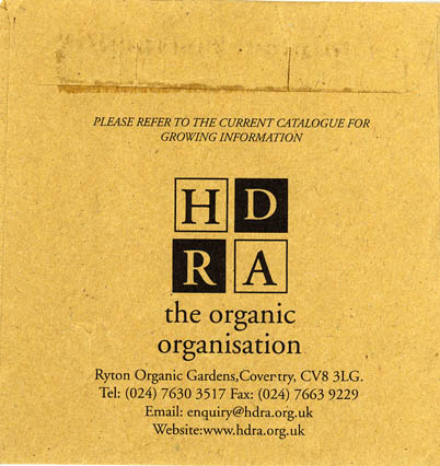 R�dbede, White Devoy, Beta vulgaris </i>L. var.<i> vulgaris