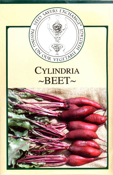 R�dbede, Cylindra, Beta vulgaris </i>L. var.<i> vulgaris