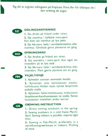 R�dbede, Italian Rossa Mammouth, Beta vulgaris </i>L. var.<i> vulgaris