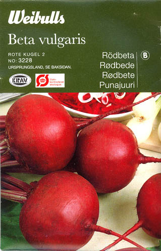 R�dbede, Rote Kugel 2, Beta vulgaris </i>L. var.<i> vulgaris
