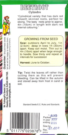 R�dbede, Cylindra, Beta vulgaris </i>L. var.<i> vulgaris