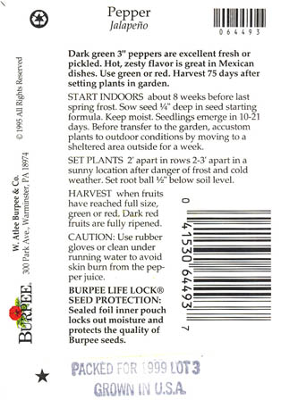 Chilipeber, Jalape�o, Capsicum annuum </i>L.<i>