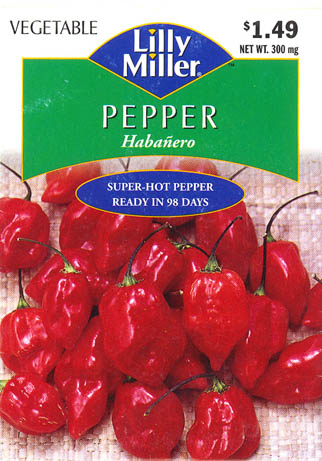 Ringb�gret chili, Haba�ero, Capsicum chinense