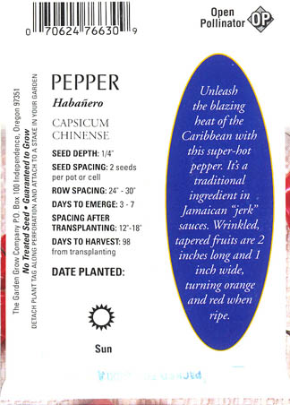 Ringb�gret chili, Haba�ero, Capsicum chinense