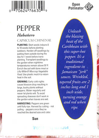 Ringb�gret chili, Haba�ero, Capsicum chinense