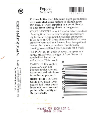 Ringb�gret chili, Haba�ero Orange, Capsicum chinense