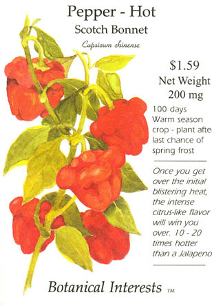 Ringb�gret chili, Scotch Bonnet, Capsicum chinense