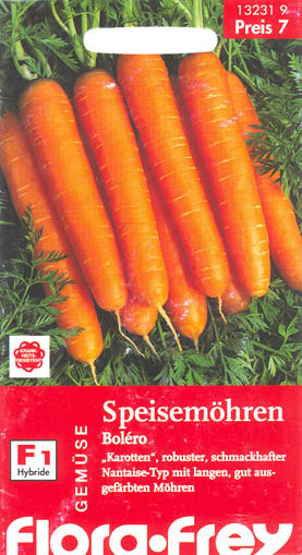 Gulerod, Bol�ro, Daucus carota </i>L. subsp.<i> sativus