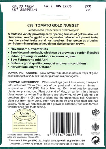 Tomat, Gold Nugget, Solanum lycopersicum</i> L<i>