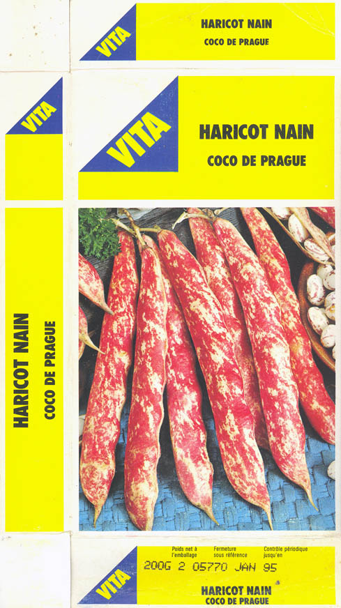 Haveb�nne, Coco de Prague, Phaseolus vulgaris </i>L.<i>