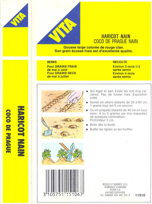 Haveb�nne, Coco de Prague, Phaseolus vulgaris </i>L.<i>