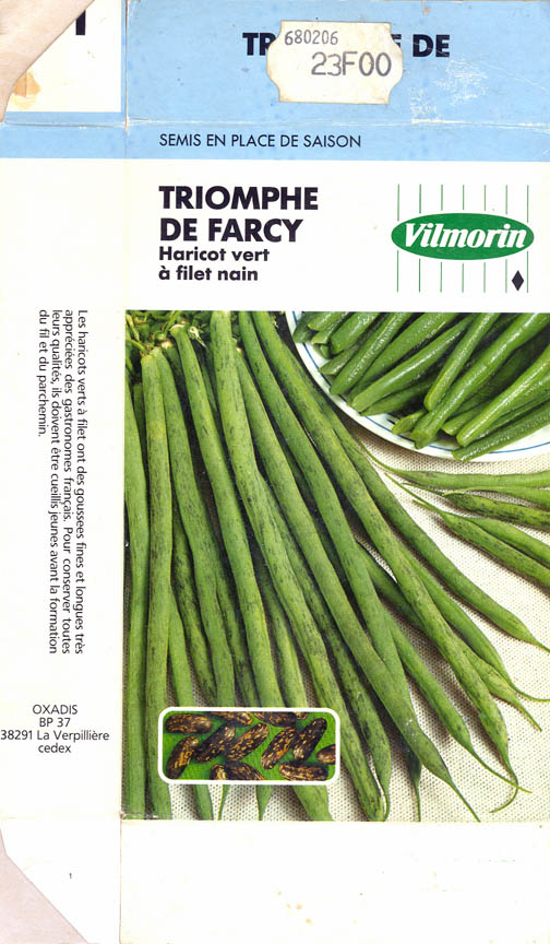 Haveb�nne, Triomphe de Farcy, Phaseolus vulgaris </i>L.<i>