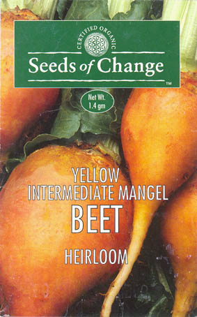 R�dbede, Yellow Intermediate Mangel, Beta vulgaris </i>L. var.<i> vulgaris
