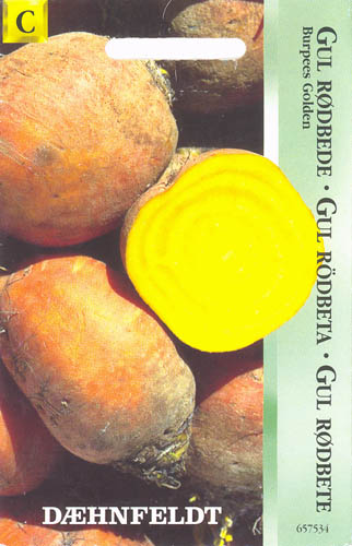 R�dbede, Burpees Golden, Beta vulgaris </i>L. var.<i> vulgaris