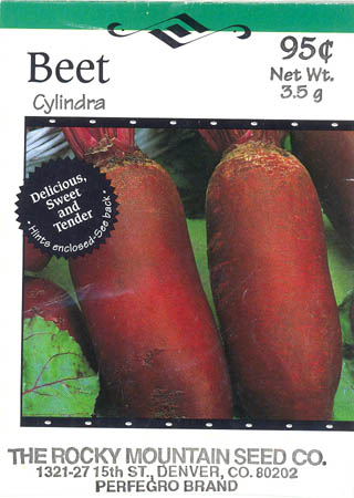 R�dbede, Cylindra, Beta vulgaris </i>L. var.<i> vulgaris