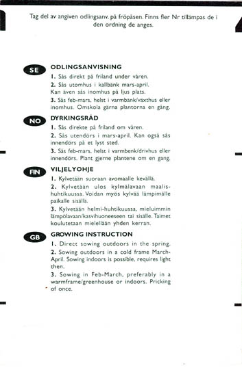 R�dbede, Albina Vereduna, Beta vulgaris </i>L. var.<i> vulgaris