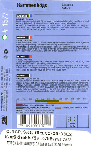 Havesalat, bindsalat, Rouge d'Hiver, Lactuca sativa </i>L. var. <i>longifolia.