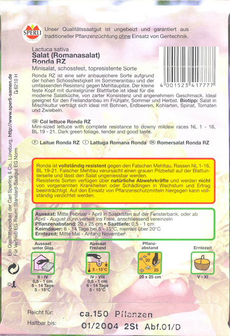 Havesalat, bindsalat, Ronda RZ, Lactuca sativa </i>L. var. <i>longifolia.