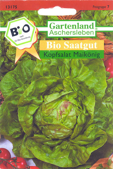 Havesalat, hovedsalat, Maik�nig, Lactuca sativa </i>L. var. <i>capitata