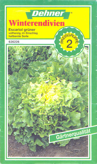 Endivie, Escariol gr�ner, Cichorium endivia </i>L.<i>