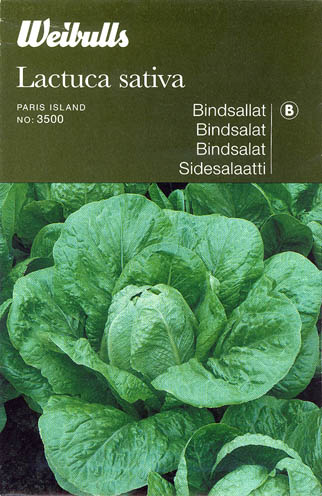 Havesalat, bindsalat, Parris Island, Lactuca sativa </i>L. var. <i>longifolia.