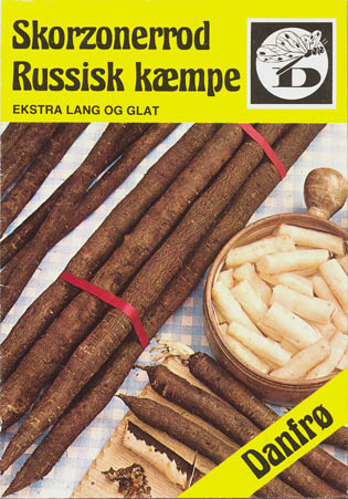 Skorzonerrod, Russisk k�mpe, Scorzonera hispanica </i>L.<i>