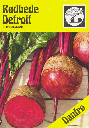 R�dbede, Detroit, Beta vulgaris </i>L. var.<i> vulgaris