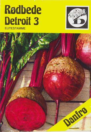 R�dbede, Detroit 3, Beta vulgaris </i>L. var.<i> vulgaris