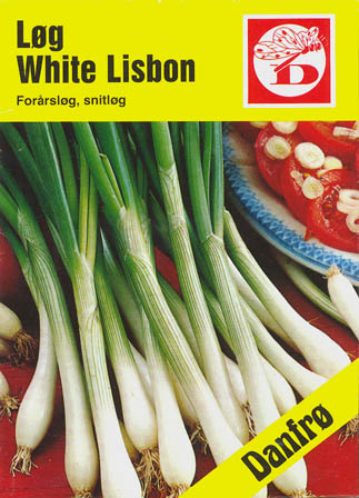 Pibel�g, White Lisbon, Allium fistulosum </i>L<i>